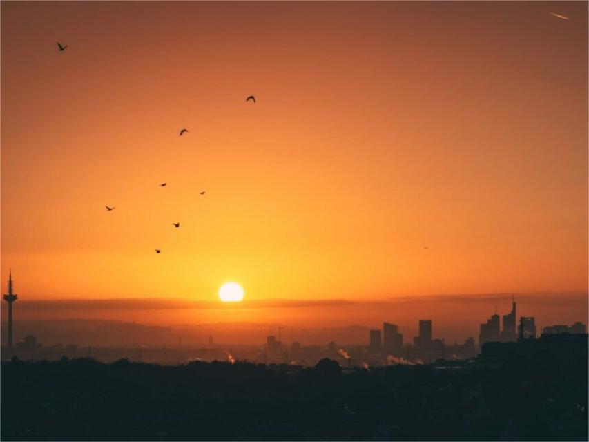 เยอรมนีเพิ่มกำลังการผลิตพลังงานแสงอาทิตย์ใหม่ 7.1 กิกะวัตต์ในช่วงครึ่งปีแรกของปี 2568